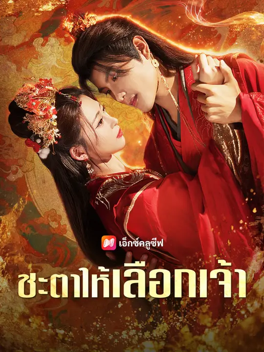 ชะตาให้เลือกเจ้า