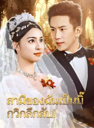 สามีของฉันเป็นบิ๊กวิกลึกลับ!