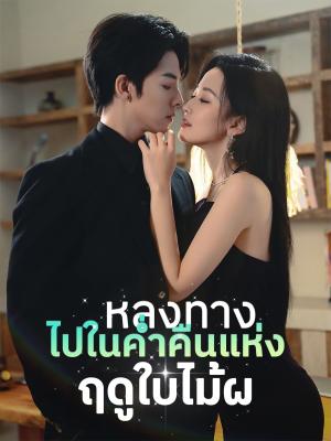 หลงทางไปในค่ำคืนแห่งฤดูใบไม้ผลิ